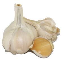 Australian Garlic
