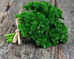 Curly Parsley Bunch
