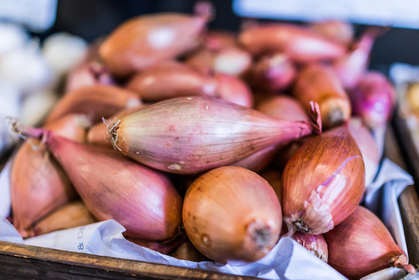 Eschallots Gold 300g