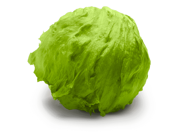 Lettuce Iceberg Each