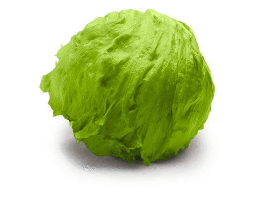 Lettuce Iceberg Each