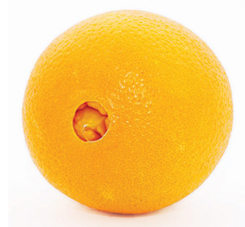Navel Orange Kg