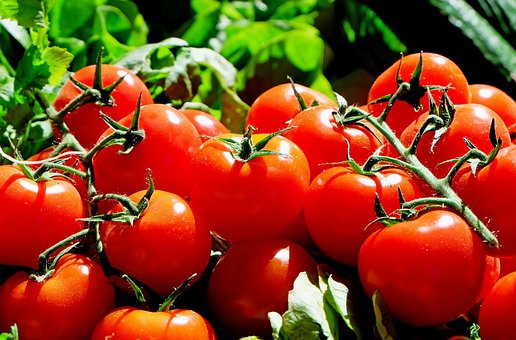 Truss Tomatoes 1KG