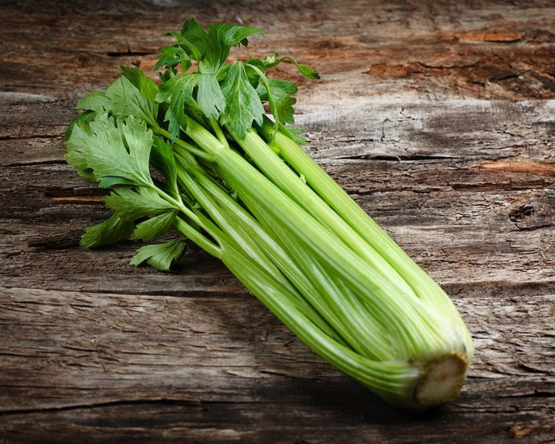 Celery Whole Bunch