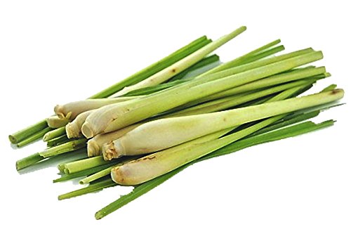 Lemongrass Bunch