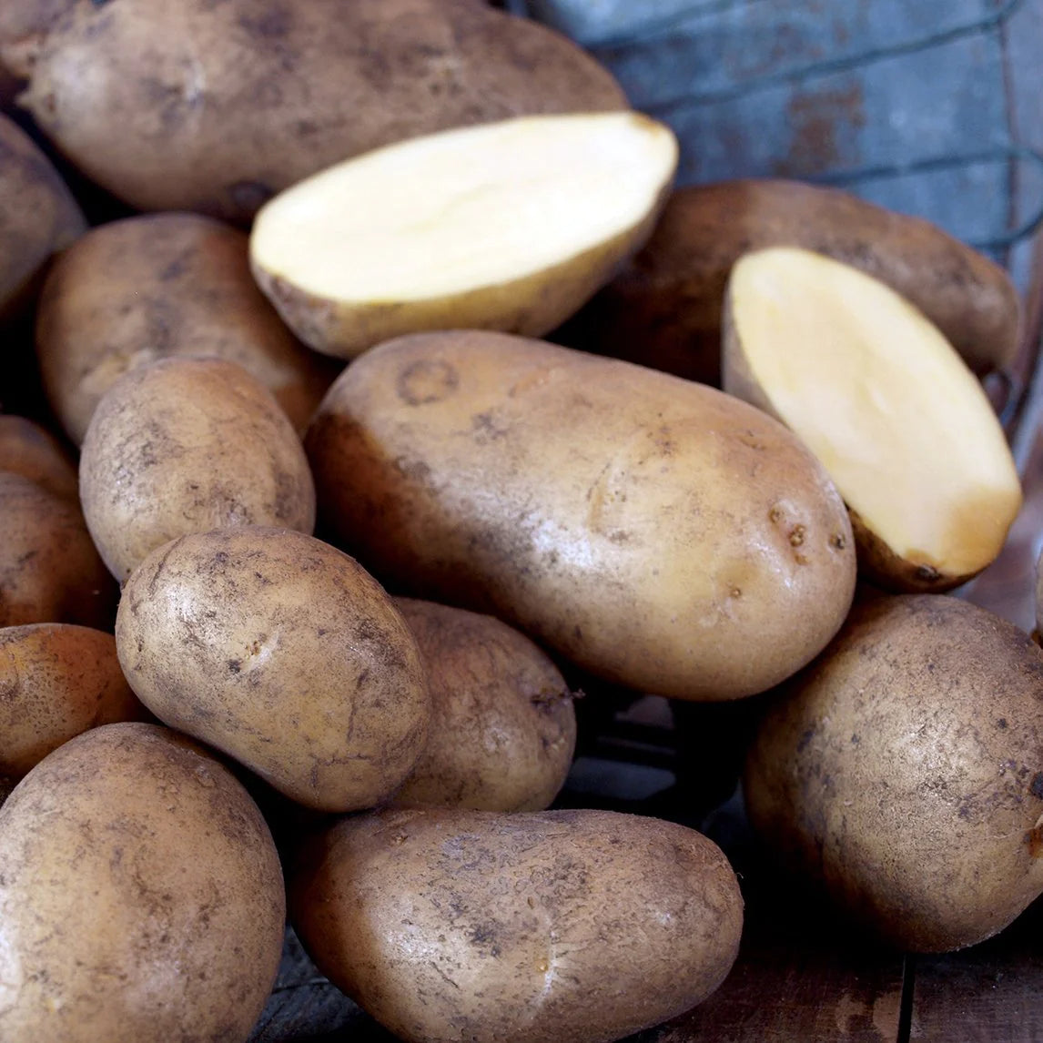 Potato Dutch Cream Kg