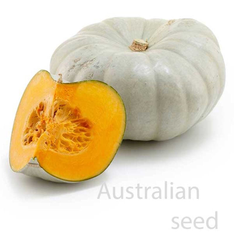 Jarrahdale Pumpkin Half