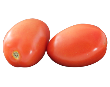 Roma Tomato kg
