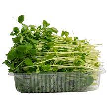 Snow Pea Sprout 100g Punnet