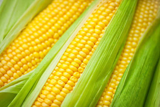Corn Pack of 3